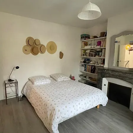 ヴィラ Maison Independante En Centre ルマン