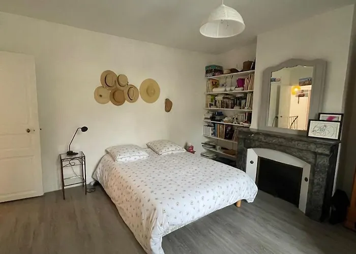 Villa Maison Indépendante En Centre Le Mans